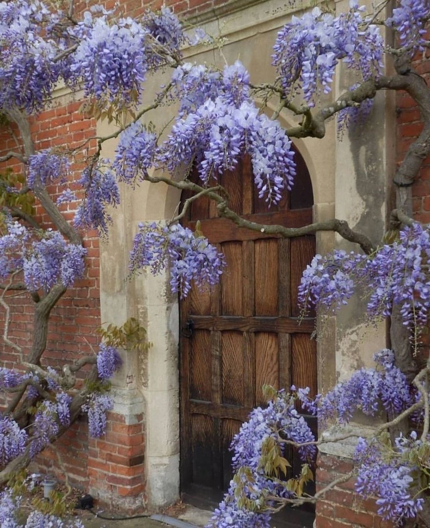 ПЕЙЗАЖ - оригинал