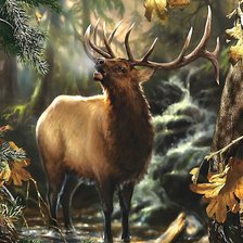 Схема вышивки «олень»