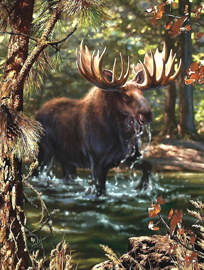 лось - мир животных - оригинал