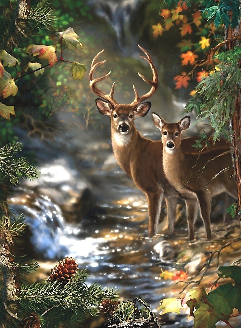 мир животных - мир животных - оригинал