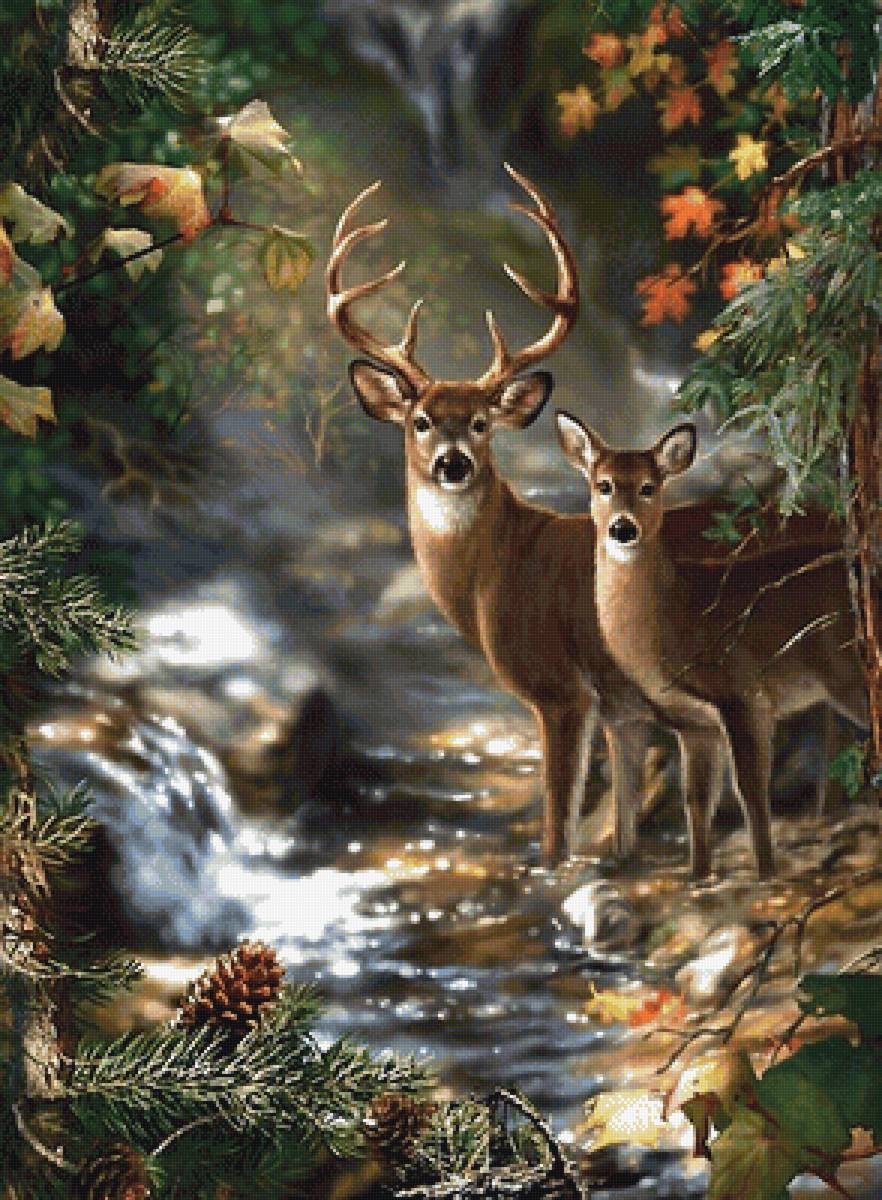 мир животных - мир животных - предпросмотр