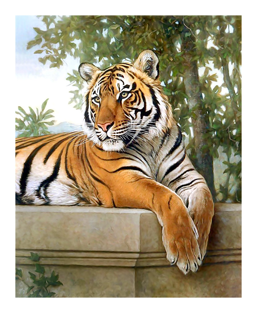 Серия "Хищники". Тигр - тигр, хищники, животные - оригинал