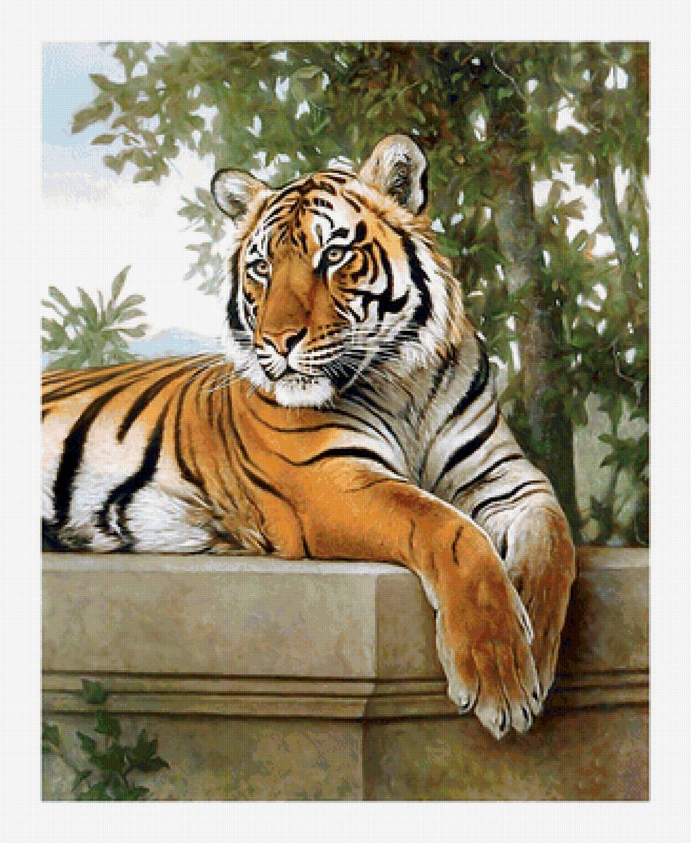 Серия "Хищники". Тигр - хищники, тигр, животные - предпросмотр