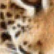 Предпросмотр схемы вышивки «Леопарды» (№1958615)