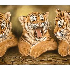 Схема вышивки «tigriukai»