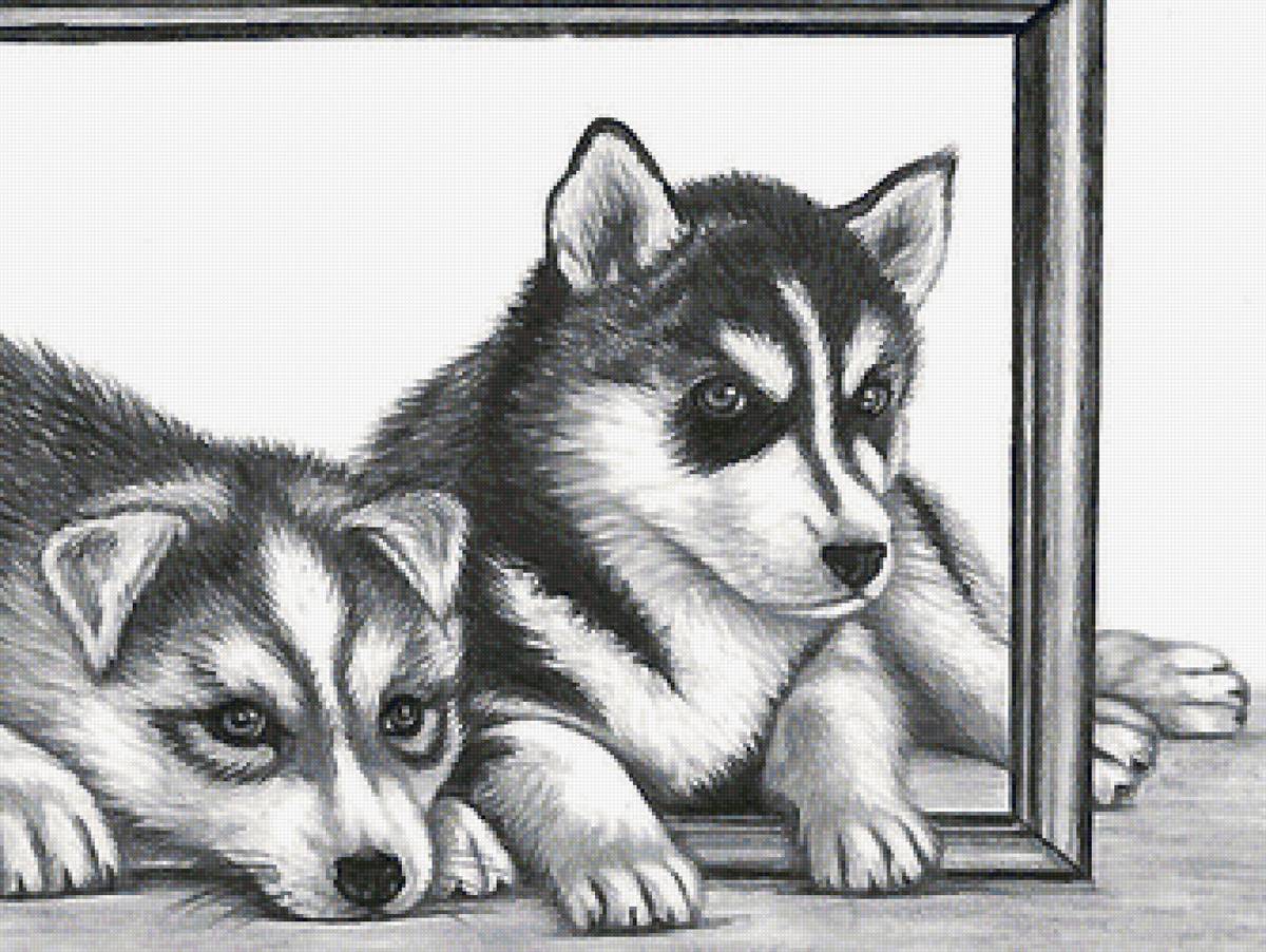 рисунок - предпросмотр