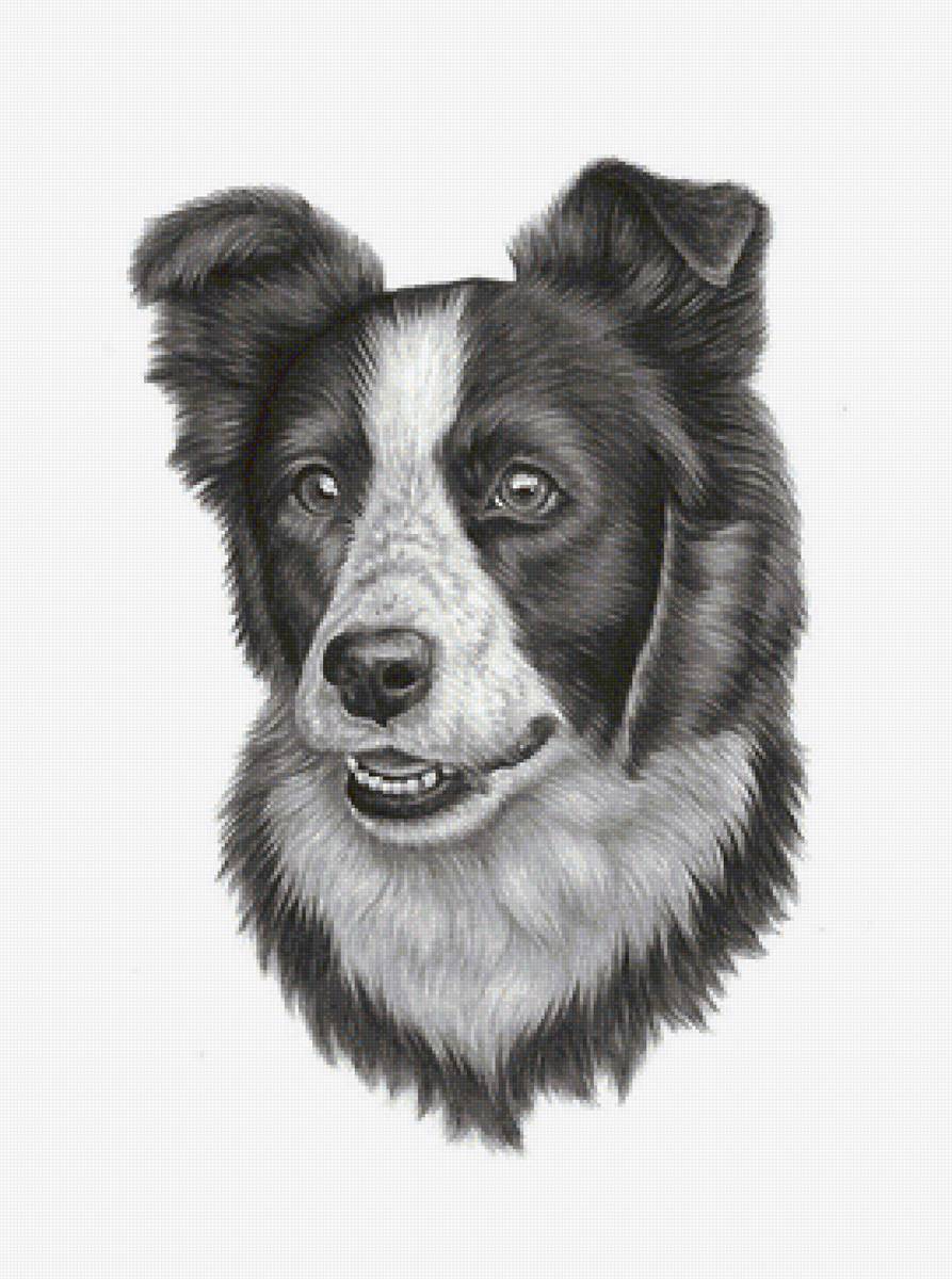 рисунок - предпросмотр