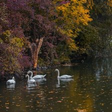 Схема вышивки «ПЕЙЗАЖ»