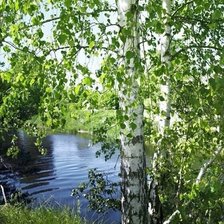 Схема вышивки «ПЕЙЗАЖ»