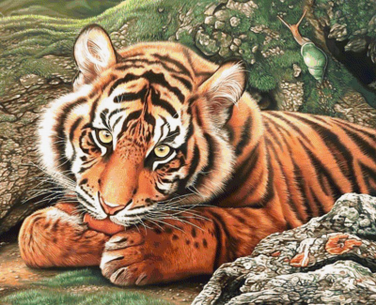 Тигрёнок. - тигренок, хищник., тигр - предпросмотр