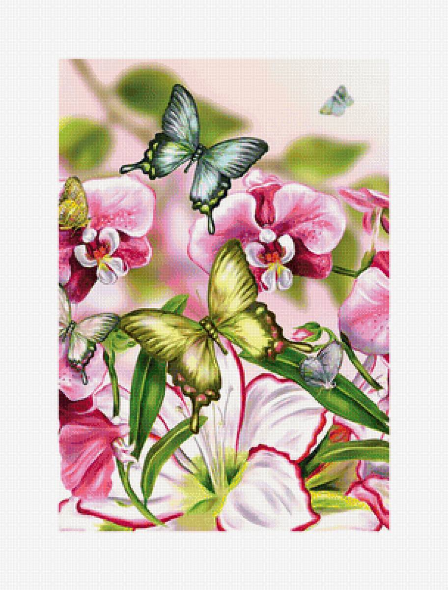 Цветы и бабочки. - лилии, бабочки., цветы, орхидеи - предпросмотр