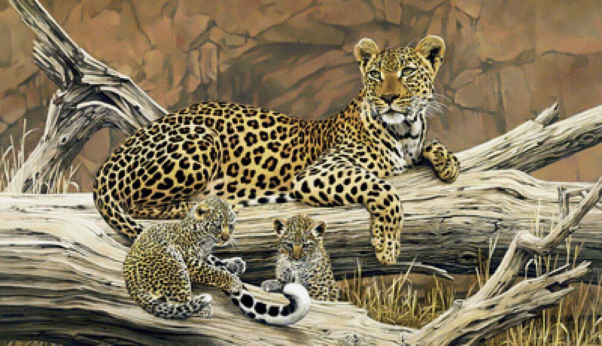 Леопард с котятами. - животные, хищники, леопарды, природа. - предпросмотр