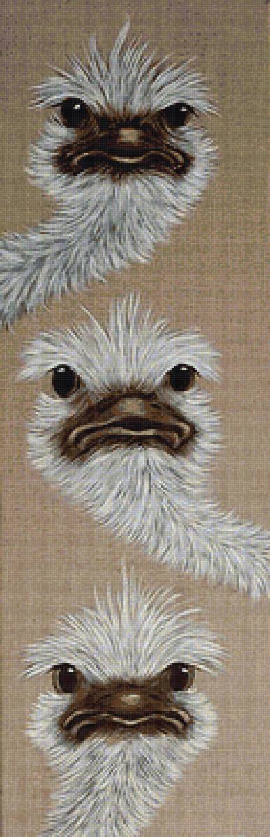 страус - предпросмотр