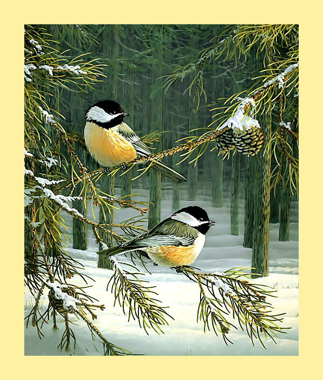 Серия "Птицы" - птицы, фауна - оригинал