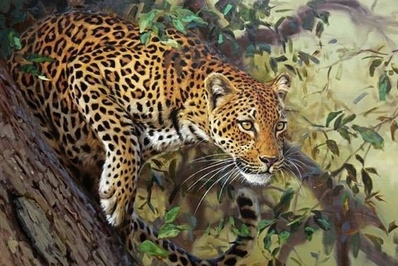 дикие - хищник.дикая кошка.леопард. - оригинал