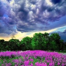 Схема вышивки «539»