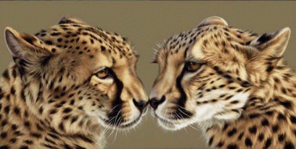 №1959499 - хищники, животные - предпросмотр