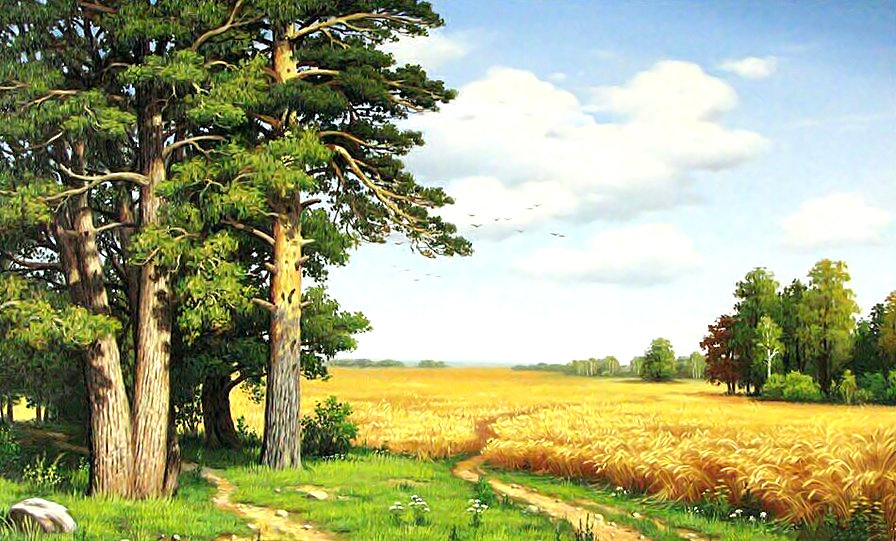 Серия "Пейзаж" - природа, лес, пейзаж, поле - оригинал