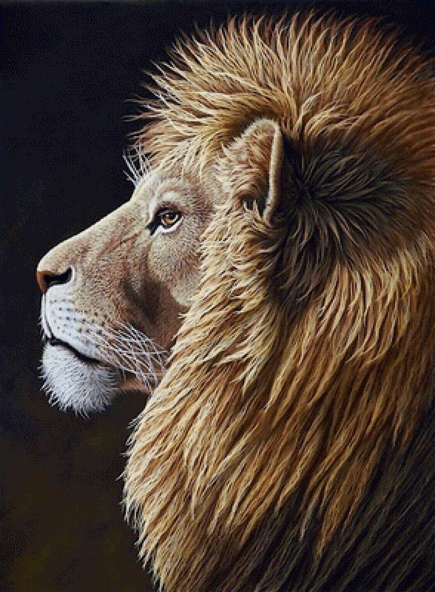 №1959511 - хищники, животные - предпросмотр