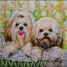 Схема вышивки «2 Lhasas on a Wicker Chair.»