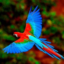 Схема вышивки «№1960328»