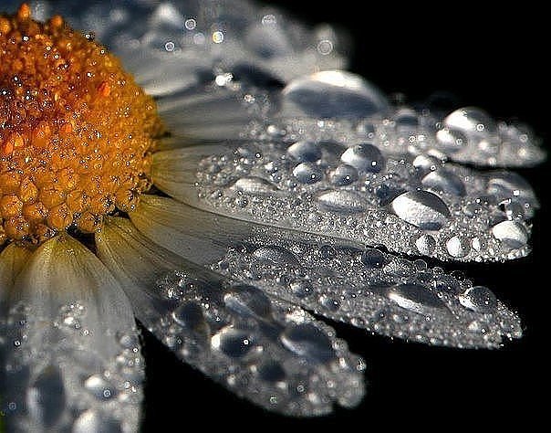 №1960333 - оригинал