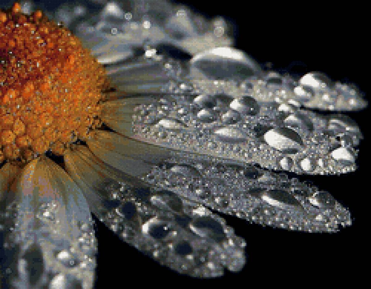 №1960333 - предпросмотр