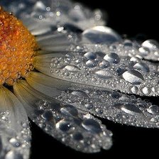 Схема вышивки «№1960333»