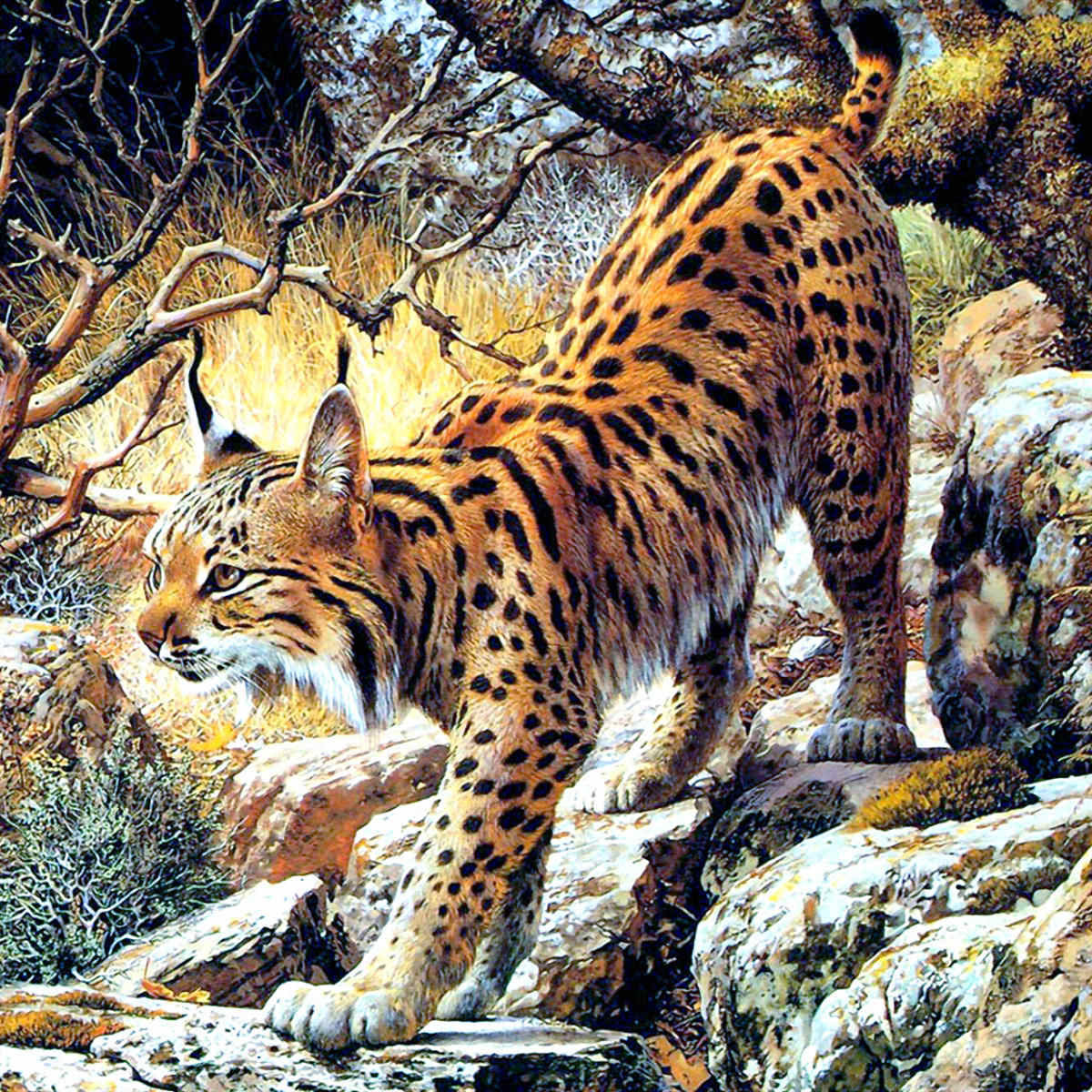 №1960491 - кошка - оригинал