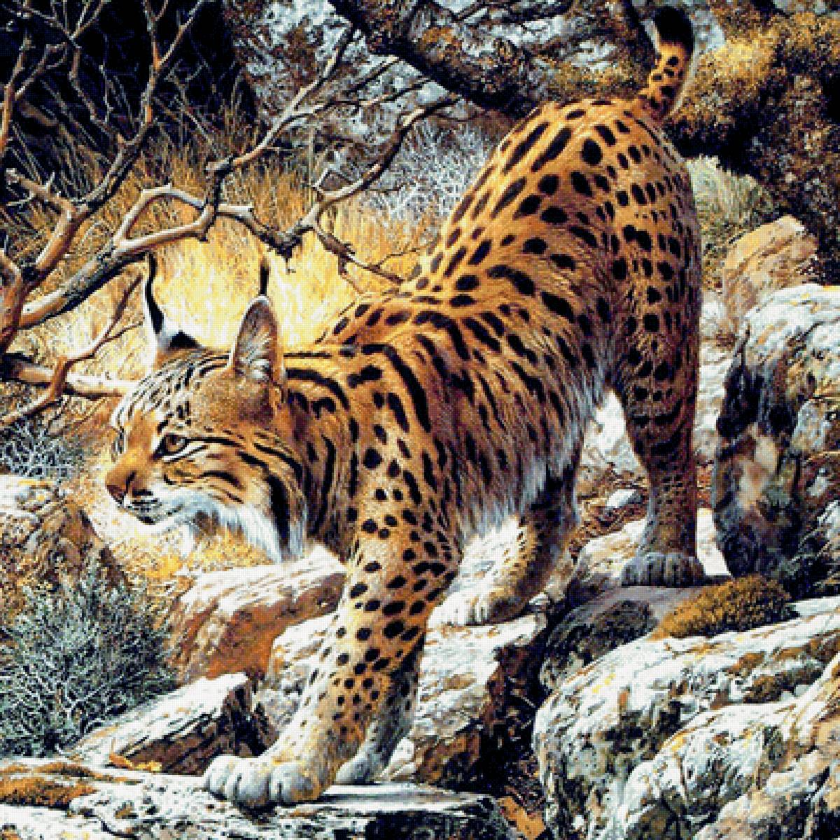 №1960491 - кошка - предпросмотр