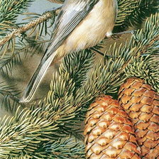 Птички на ветке