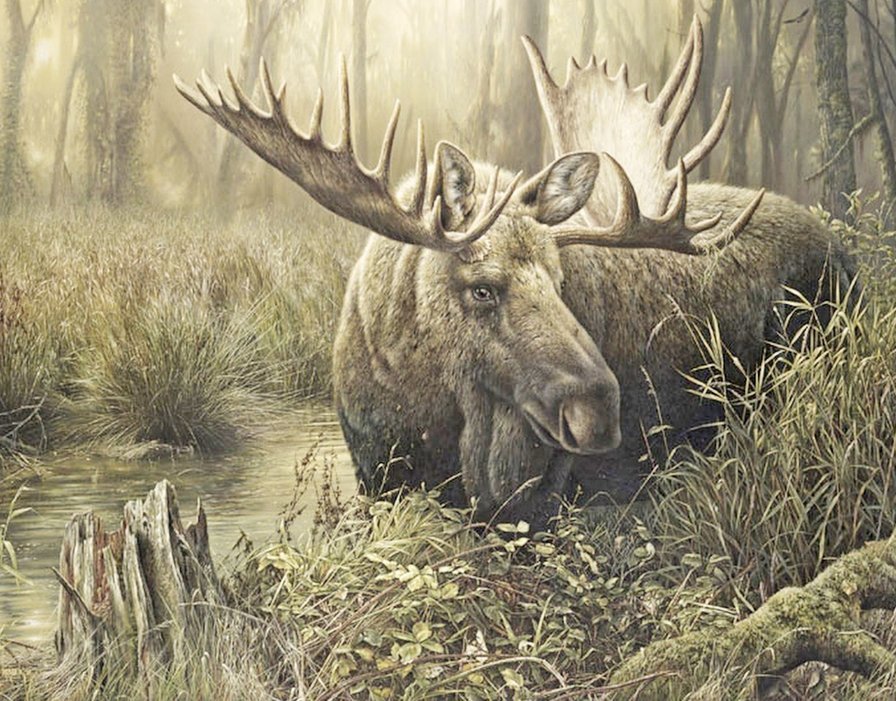 лось - лось - оригинал