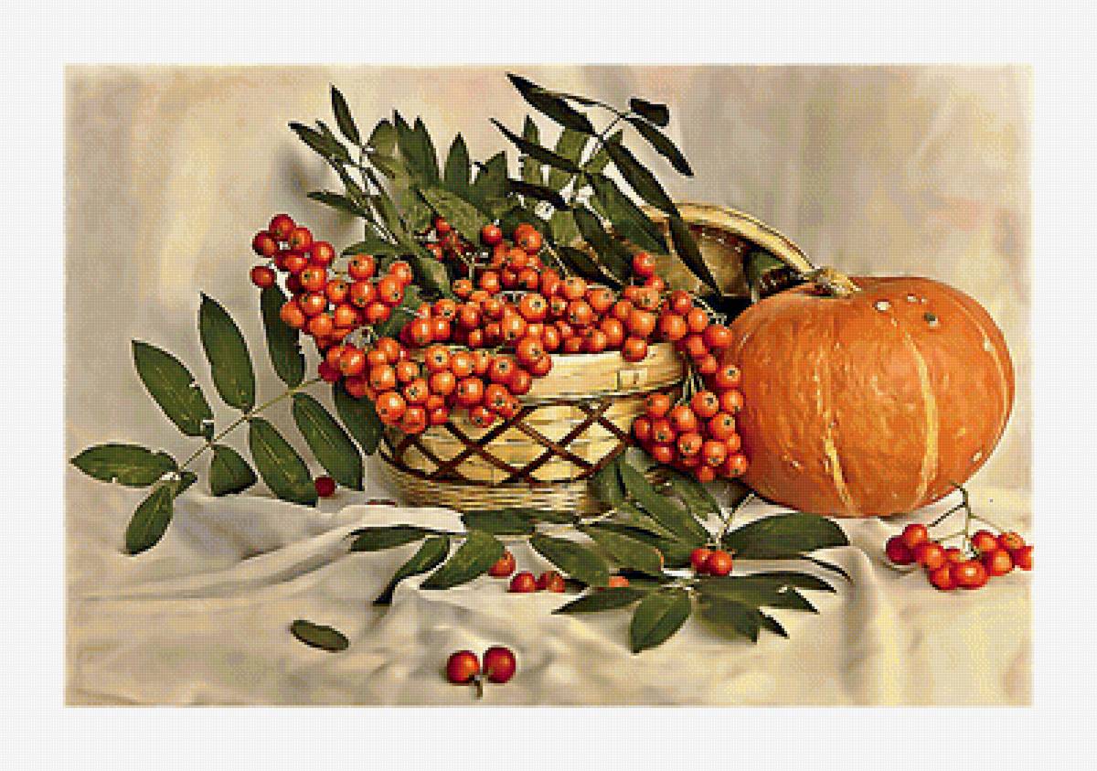 Натюрморт - рябина, натюрморт, тыква - предпросмотр