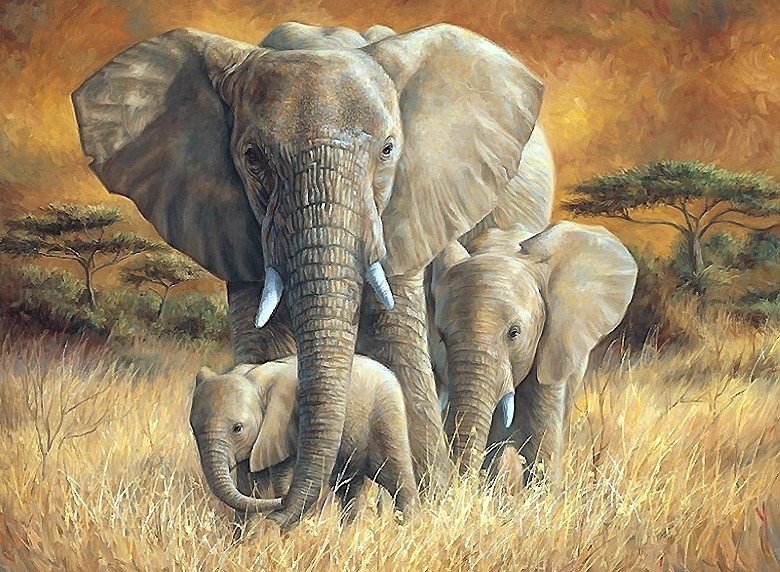 слоны - мир животных - оригинал