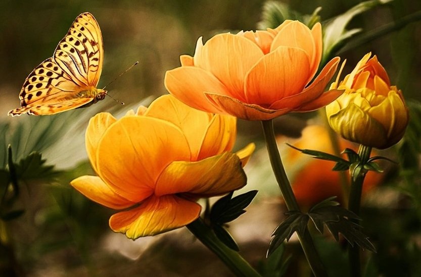 №1961478 - оригинал