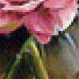 Предпросмотр схемы вышивки «Розы у окна.» (№1961880)