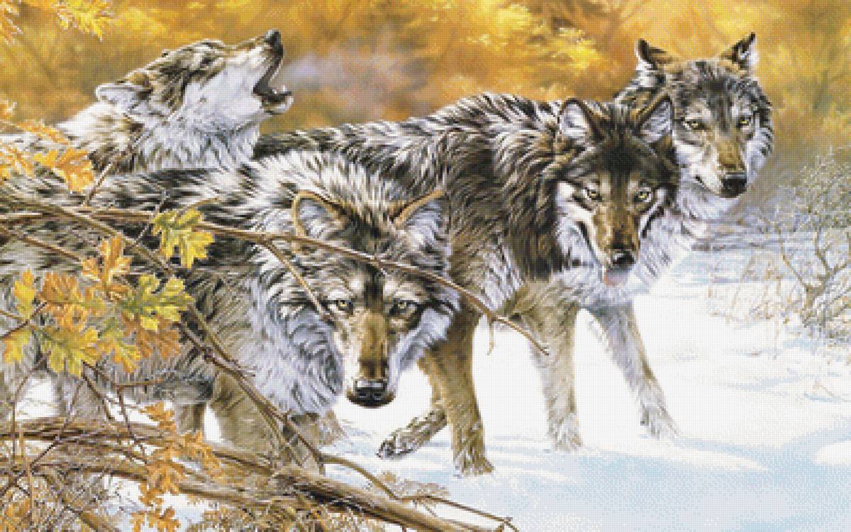 Стая. - волки, осень, хищники, зима, стая, снег., лес - предпросмотр
