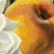Предпросмотр схемы вышивки «Натюрморт с птичкой.» (№1962004)