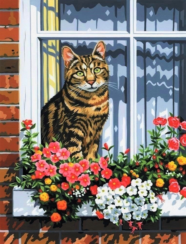 Кошка на окошке - кошка, животные, цветы, кот, окно - оригинал