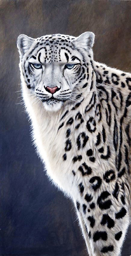 №1962472 - хищники, животные - оригинал