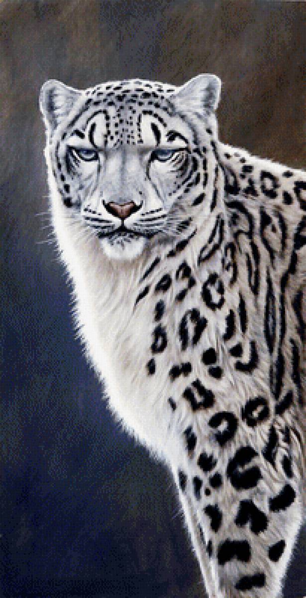 №1962472 - животные, хищники - предпросмотр