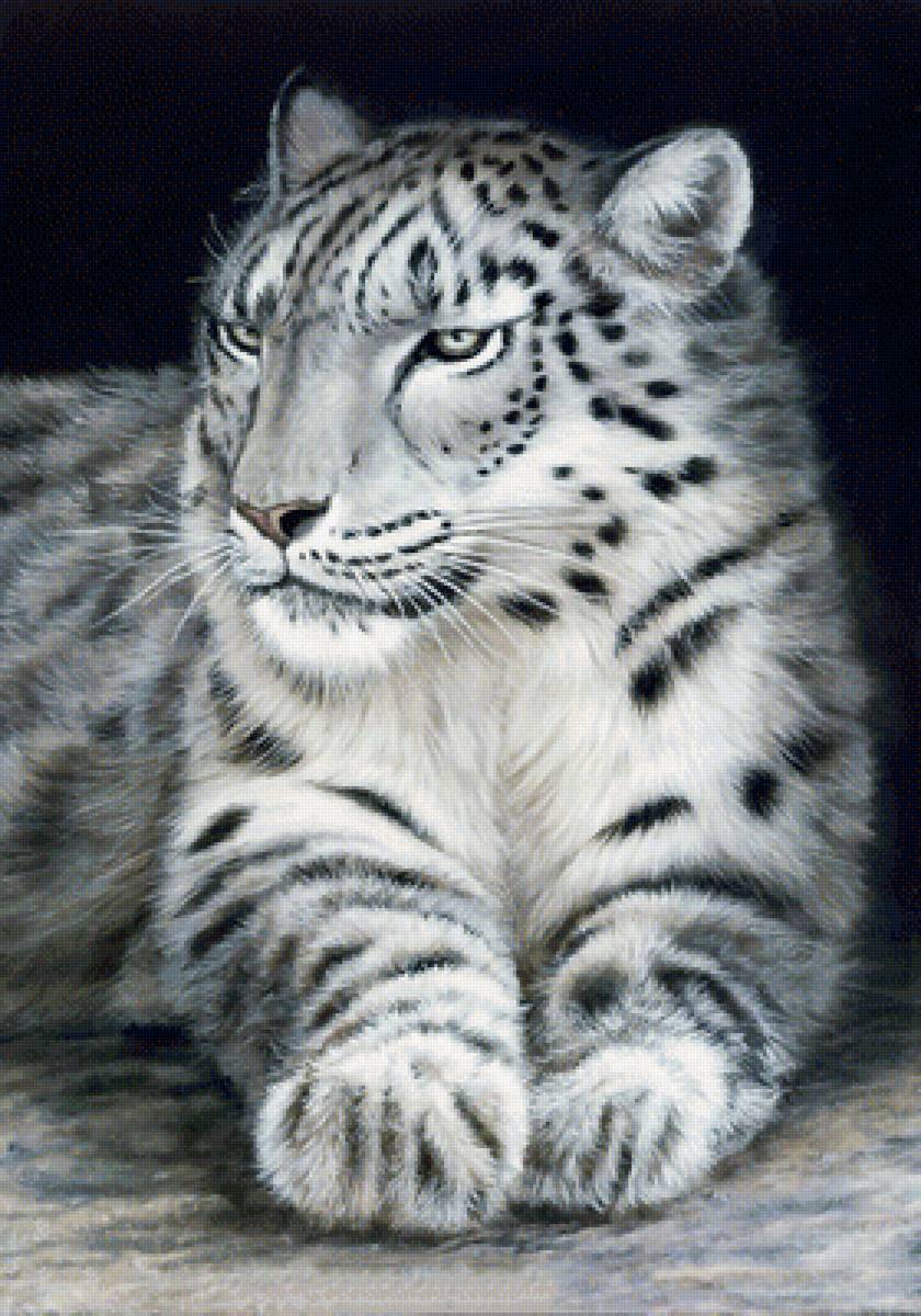 №1962487 - хищники, животные - предпросмотр