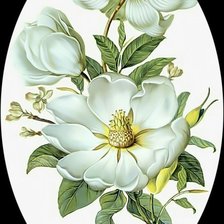 Схема вышивки «цветы»