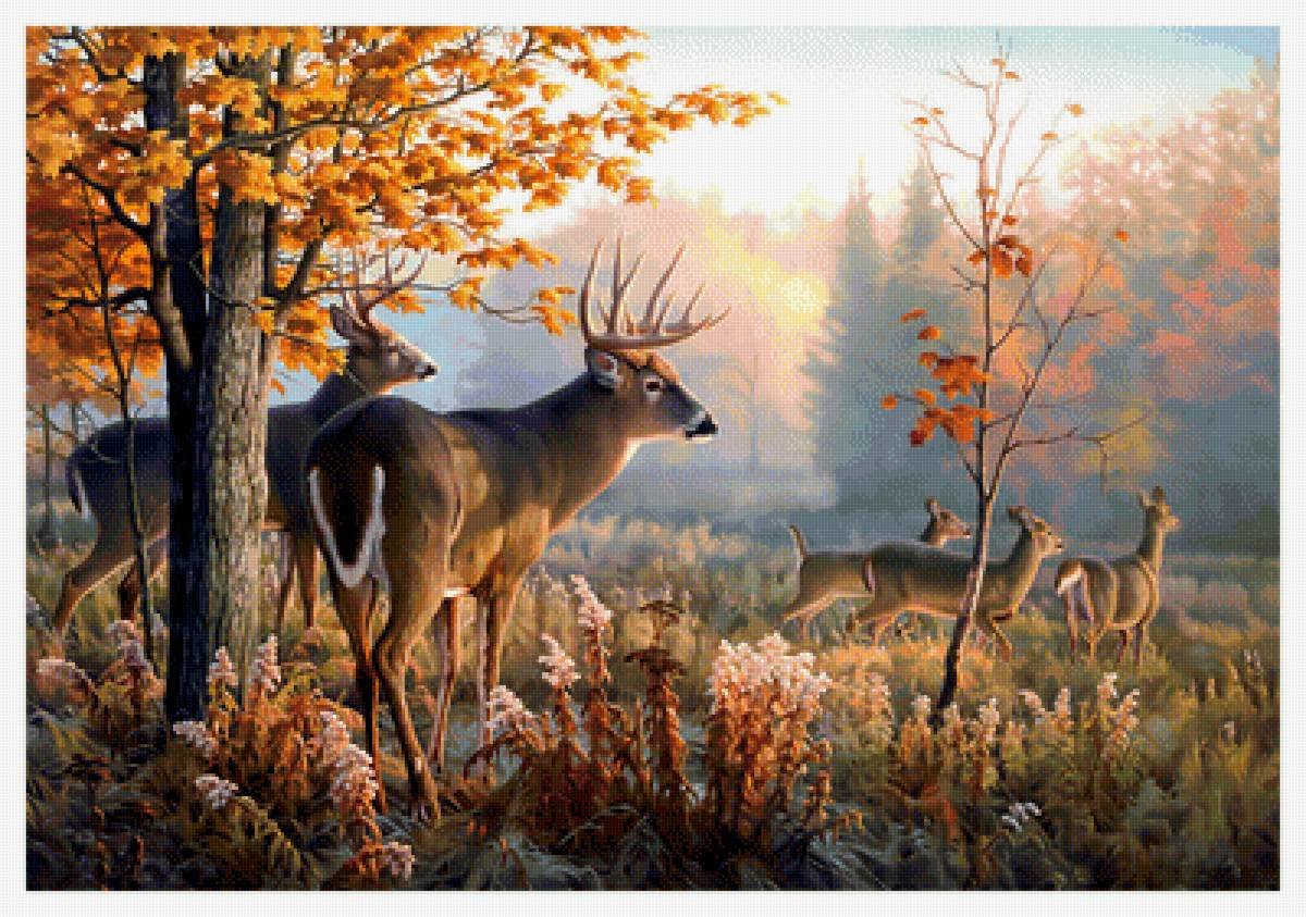 Олени в осеннем лесу - пейзаж, природа, олени в осеннем лесу - оригинал