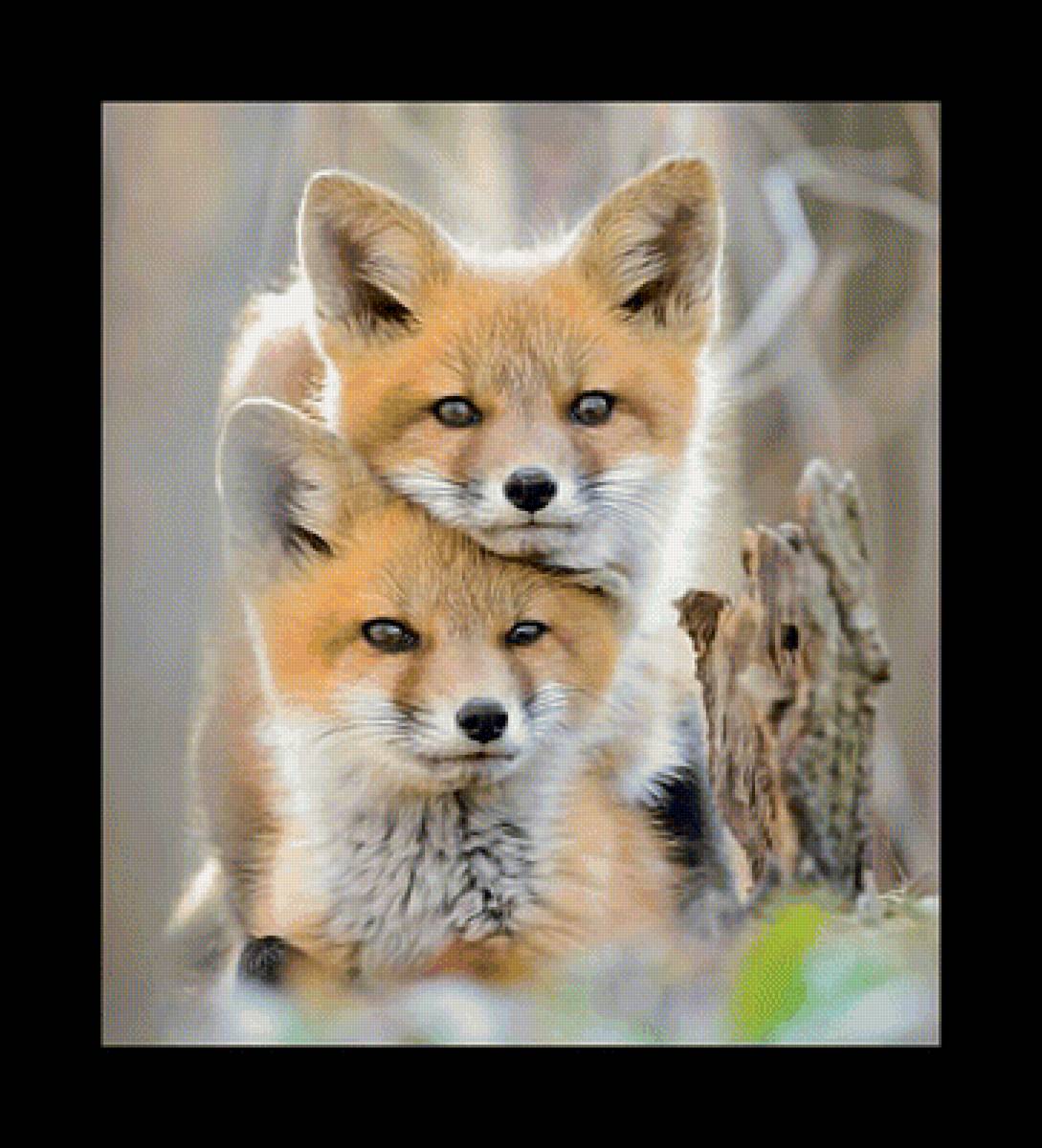 Лисички. - животные, лисы, дикие., хищники - предпросмотр