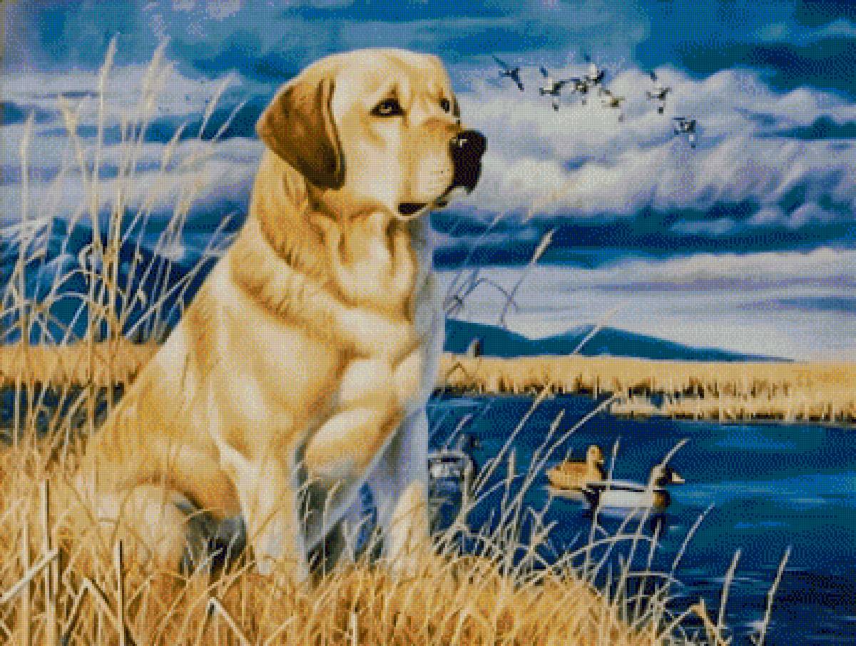 Hunting Time. - scenarys.animals.birds. - предпросмотр