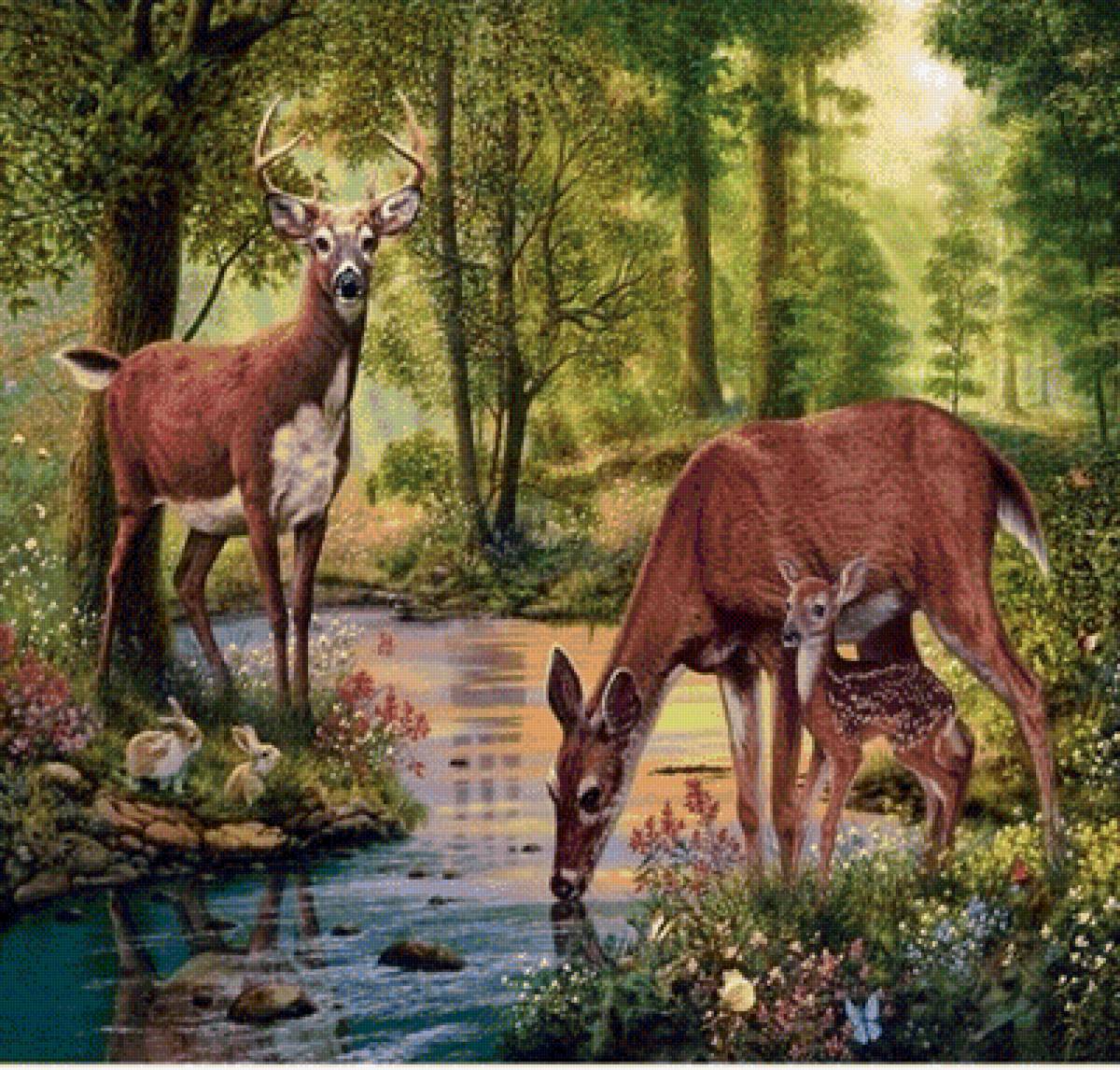 олени у ручья - ручей, животные, лес, природа, олени - предпросмотр