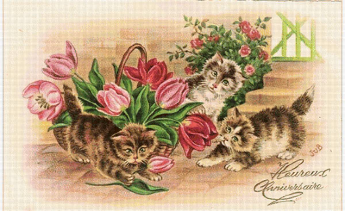 mačiatka,tulipány - предпросмотр