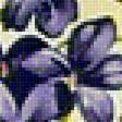 Предпросмотр схемы вышивки «kvety» (№1963833)