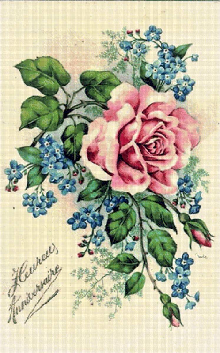 kvety - предпросмотр